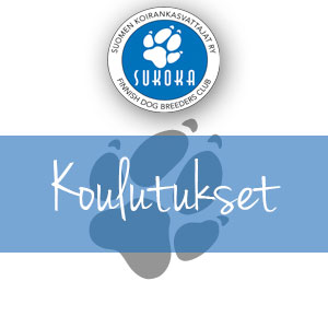 Koulutus/tapahtumat