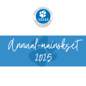 Annual-mainokset 2025